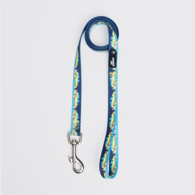 Rungo Поводок нейлоновый для кошек и собак, 120 см, ширина ремешка 1,5 см, горный голубой
