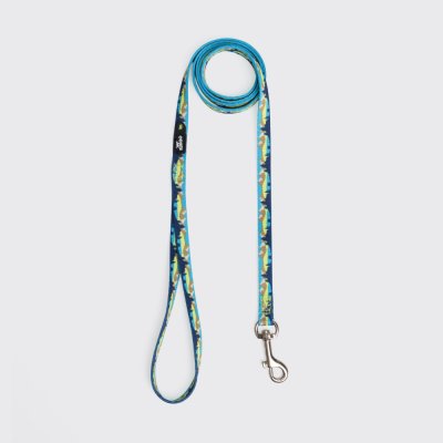 Rungo Поводок нейлоновый для кошек и собак, 120 см, ширина ремешка 1 см, горный голубой