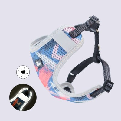 Rungo Шлейка для собак Comfort, XXS, обхват груди 22-33 см, ширина ремешка 1,0 см, красный с голубым