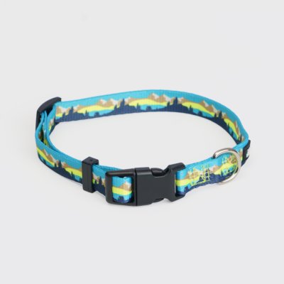 Rungo Ошейник нейлоновый для собак, обхват шеи 18-25 см, ширина 1 см, голубой