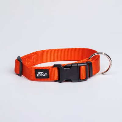 Rungo Ошейник для собак нейлоновый, обхват шеи 40-63 см, ширина 2,5 см, оранжевый