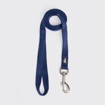 Rungo Поводок нейлоновый для кошек и собак, 120 см, ширина ремешка 1,5 см, синий