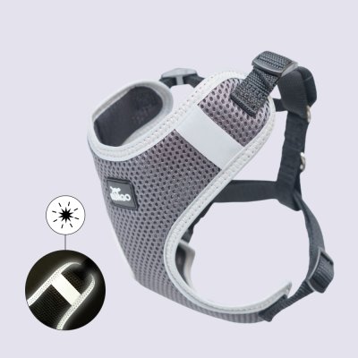 Rungo Шлейка для собак Comfort, XS, обхват груди 28-40 см, ширина ремешка 1 см, черный