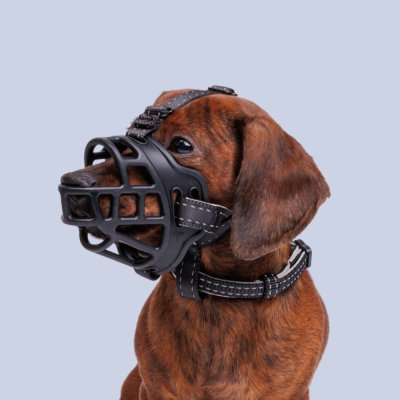 HiPet Намордник для собак силиконовый Ergonomic, S, обхват морды 18-21 см