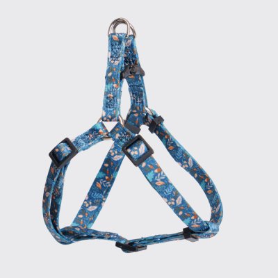 Rungo Шлейка нейлоновая для кошек и собак Step-in, объем груди 33-46,5 см, ширина ремешка 1 см, цветочный синий