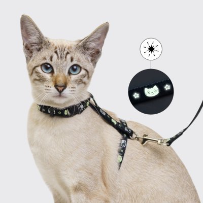 Petmax Шлейка с поводком для кошек, обхват груди 28-37 см, длина поводка 120 см, черный