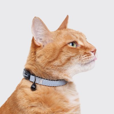 Petmax Ошейник для кошек Reflect, обхват шеи 30 см, ширина 1 см, черно-серый