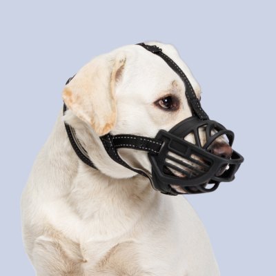 HiPet Намордник для собак силиконовый Ergonomic, 3XL, обхват морды 39 см