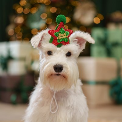 Petmax Шляпка звезда для собак Merry Christmas, 9,5х8,5 см, красно-зеленый