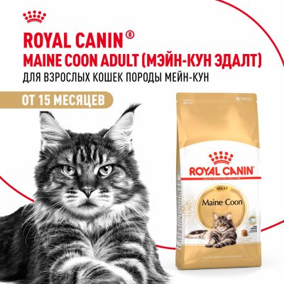 Сухие корма Royal Canin Корм сухой сбалансированный для взрослых кошек породы Мэйн Кун, Maine Coon Adult (4 кг)