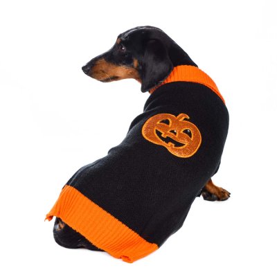 RURRI Свитер светящийся Led для кошек и собак, L, черный (унисекс)