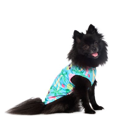 RURRI Футболка для собак с фламинго XL голубой (унисекс)