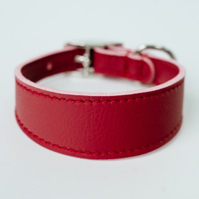 Аркон Ошейник-селедка для собак Candy, XXS, обхват шеи 21,5-25 см, бордовый