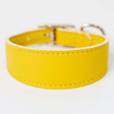 Аркон Ошейник-селедка для собак Candy, XXS, обхват шеи 21,5-25 см, желтый