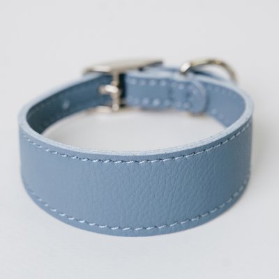 Аркон Ошейник-селедка для собак Candy, XXS, обхват шеи 21,5-25 см, голубой