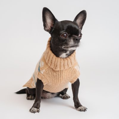 Petmax Свитер с узором для кошек и собак, XS, бежевый