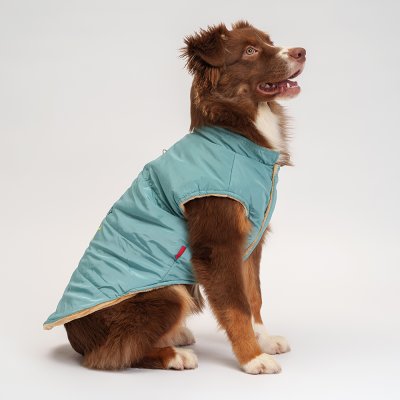 Petmax Куртка для собак, 4XL, зеленая