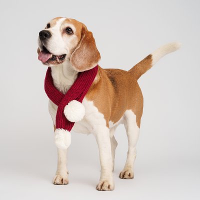 RURRI Шарф для собак, 9х60 см, красный