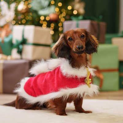 Petmax Накидка новогодняя с колокольчиком для собак, длина спины 23 см, обхват груди 36 см, обхват шеи 26 см, S, красный