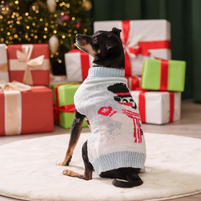 Petmax Свитер со снеговиком для кошек и собак, XL, голубой