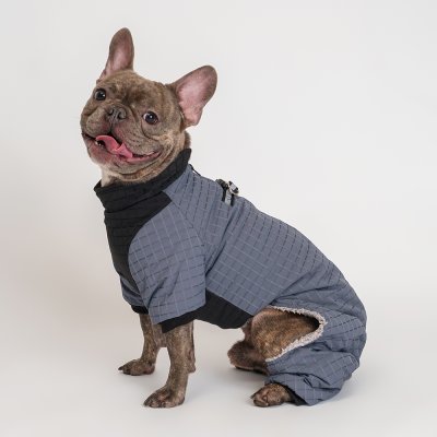 RURRI Комбинезон на замке для собак, 2XL, синий