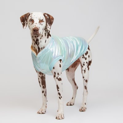 Petmax Куртка для собак, 4XL, голубая (унисекс)