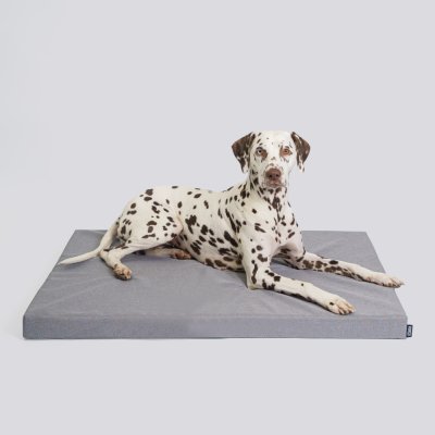 RURRI Матрас для крупных кошек и собак средних и больших размеров Марсель, 100х70 см, серый