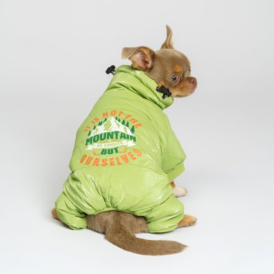 Petmax Комбинезон для собак, S, зеленый