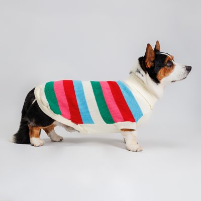 Petmax Свитер полосатый разноцветный 60см