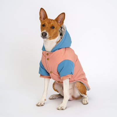 Petmax Куртка с мишками для собак, L, терракотовый