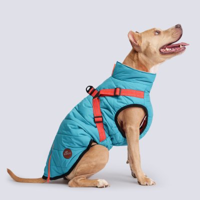 Rungo Попона теплая со шлейкой для собак, длина спины 55 см, объем груди 74-83 см, голубая