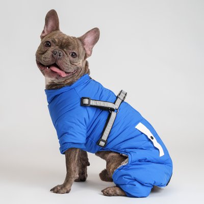 Petmax Комбинезон со шлейкой для собак, 2XL, синий