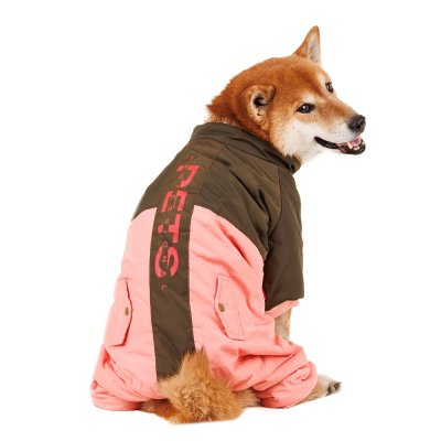 Petmax Комбинезон для собак, 3XL, зеленый (унисекс)