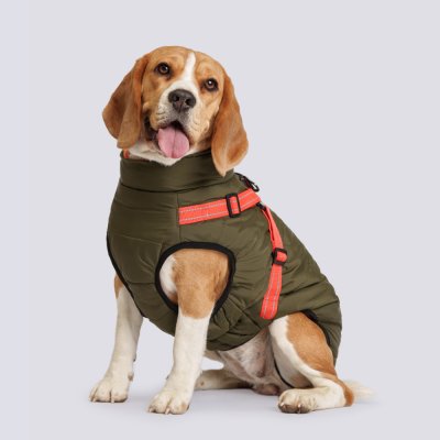 Rungo Попона теплая со шлейкой для собак, обхват шеи 48 см, обхват груди 60-69 см, длина спины 45 см, зеленая