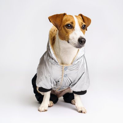 RURRI Комбинезон для собак, 2XL, серебряно-черный