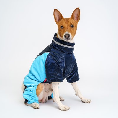 Petmax Комбинезон на замке для собак, L, синий