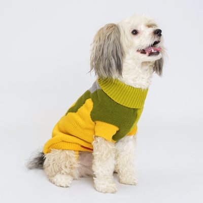 Petmax Свитер для кошек и собак, XL, горчичный