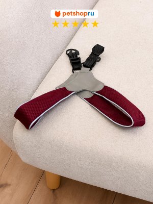 Ошейники, шлейки PETSHOP Шлейка для собак мягкая "Спайк" XS, винная (XS)