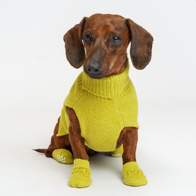 RURRI Свитер для кошек и собак, XS, салатовый
