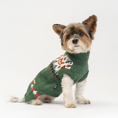 RURRI Свитер с лисами для кошек и собак, XS, зеленый