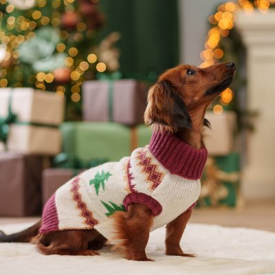 Petmax Свитер для кошек и собак, XS, бежевый