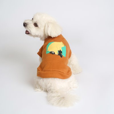 Petmax Толстовка с медведем для кошек и собак, XS, коричневый