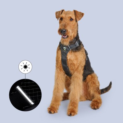 HiPet Шлейка для собак Ultralight, 2XL, обхват шеи 50-82 см, обхват груди 70-100 см, черный