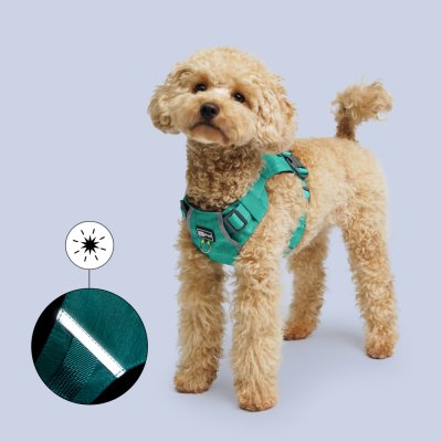 HiPet Шлейка для собак Ultralight, S, обхват шеи 36-46 см, обхват груди 36-50 см, зеленый