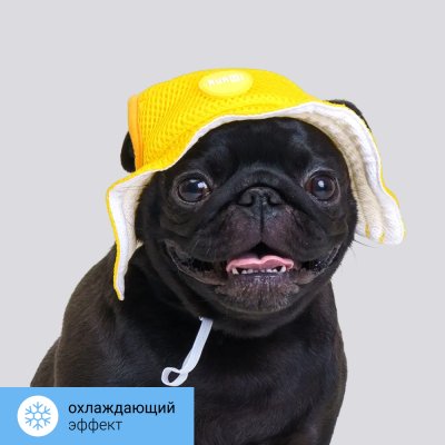 RURRI Панама охлаждающая для собак, M, желтая
