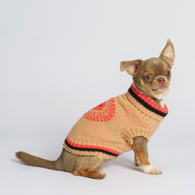 Petmax Свитер с солнышком для кошек и собак, XS, бежевый