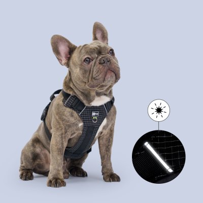 HiPet Шлейка Ultralight черная L