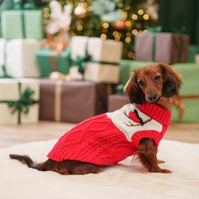 Petmax Свитер для кошек и собак Снегири, S, красный