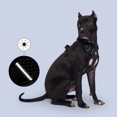 HiPet Шлейка Ultralight черная XL