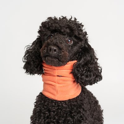 RURRI Снуд для собак, L, терракотовый